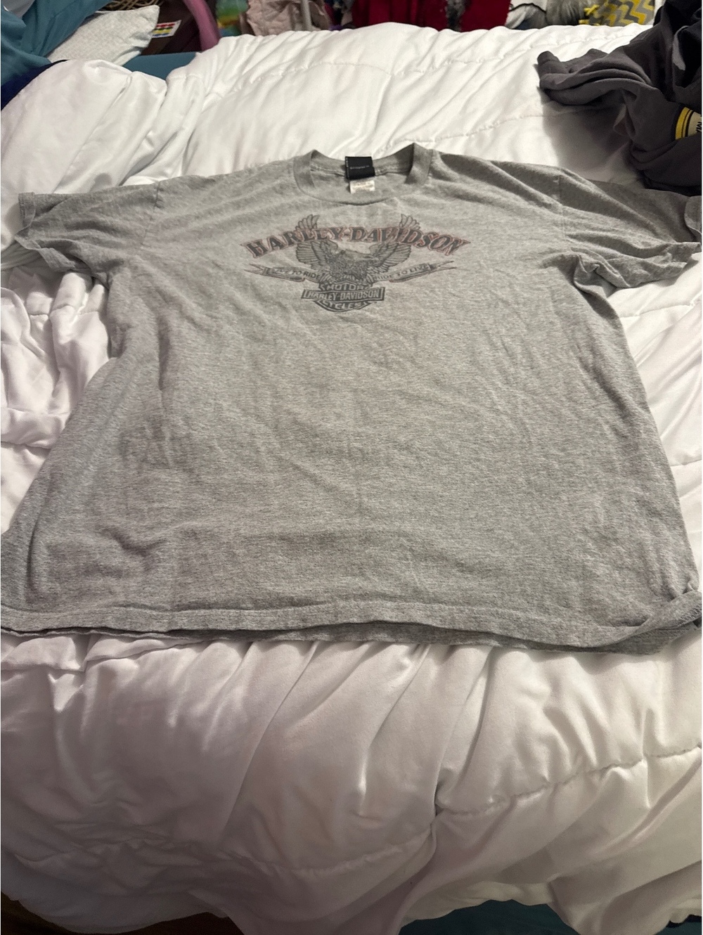 Harley-Davidson Deadwood SD Gray Graphic T-Shirt Size XL